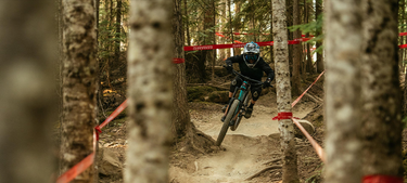 Rocky mountain reaper 24 for sale sales